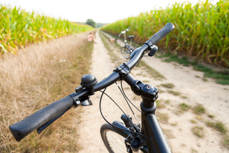 bike on a corn fieldの写真素材