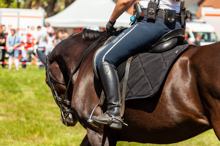 German police horsewoman rides on a police horse