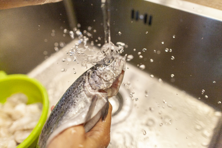 A human washes a fresh fish under waterの写真素材