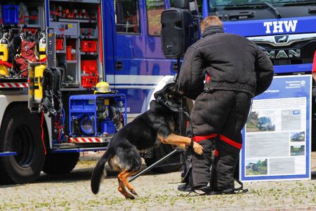 PEINE / GERMANY - JUNE 22, 2019: German police dog handler with a police sheepdog shows a dog demonstration at public event, day of uniform in Peine.のeditorial素材