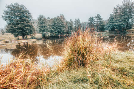 beautiful morning fog on a lake in bavariaの写真素材