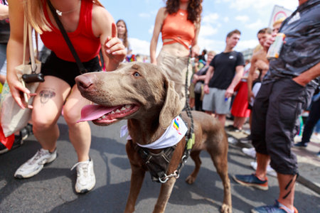 Berlin, Berlin/Germany - 07/23/2022: Christopher Street Day Parade. CSD is an annual European LGBTQ+ celebration and demonstration against discrimination and exclusion.のeditorial素材
