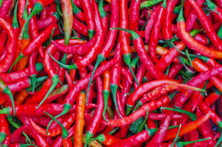 Pepper, texture background の写真素材