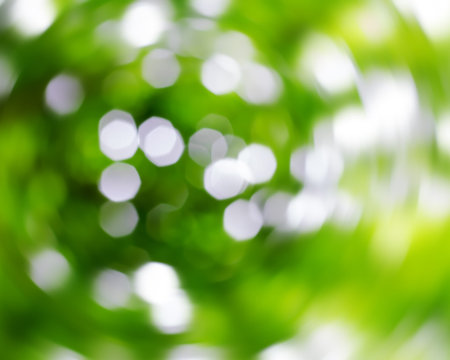 Blur background of natural green bright.
