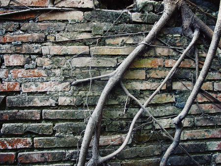 ruinsの写真素材