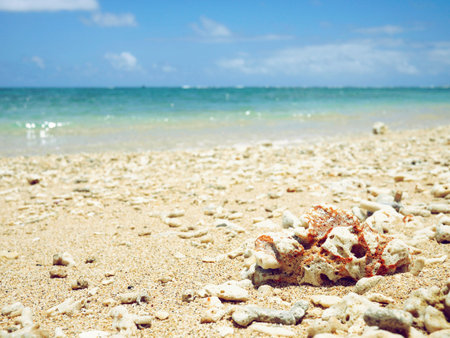 beachの写真素材