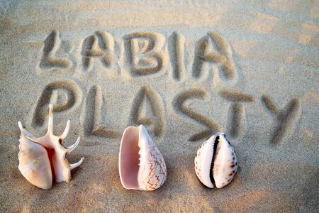 Sea shell in the form of female genitalia, vagina, inscription on the sand labiaplasty. female beauty conceptの写真素材