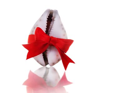 A seashell  tied with a red bow. The concept of female health and beauty.の写真素材
