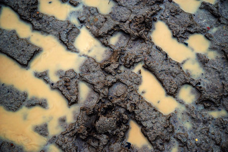 tyre tracks in the mud. Mud with a puddle and traces of transport on an impassable roadの写真素材