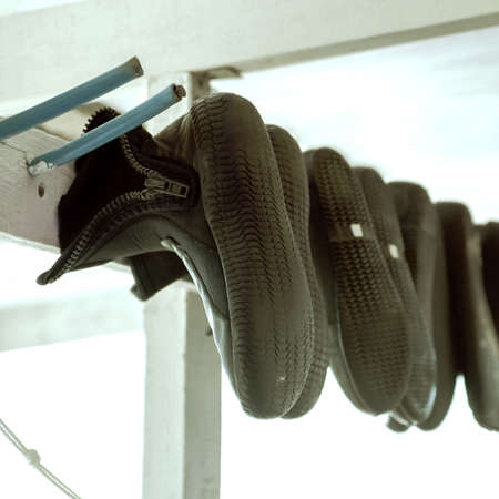 Diving shoes are drying. Underwater swimming equipment. Rubber diving boots.の写真素材