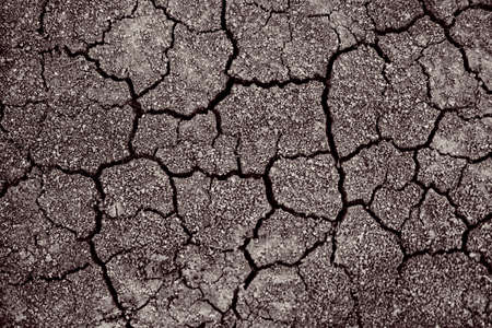 Dry cracked earth. Cracked soil texture. Land with dry and cracked ground. Background.の写真素材
