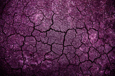 Violet dried and cracked ground earth background, Close up of dry fissure ground, fracture surface, white cracked texture, for designersの写真素材