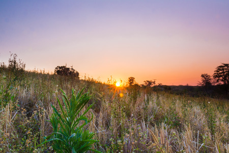 non-urban scenery of landscape sunsets in Thailandの写真素材