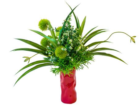green leafs on flowerpot with isolation on whiteの写真素材