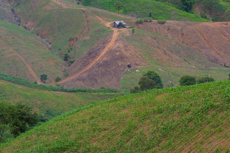 scenery of farmer cottage on the hillの写真素材