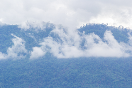 white coludy of the mist over the mountainの写真素材