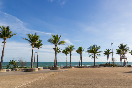 landscape with coconut trees on the beach