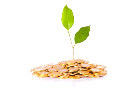 Coins and plant, isolated over white backgroundの写真素材
