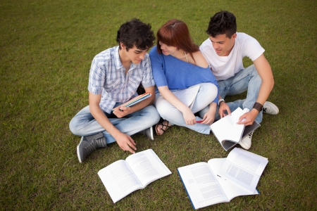 Group of friends studying at the parkの写真素材