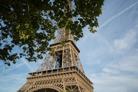 The main attraction of Paris - The Eiffel Towerの写真素材