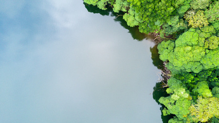 The astonishing greens of the archipelago of Azores - Portugalの写真素材