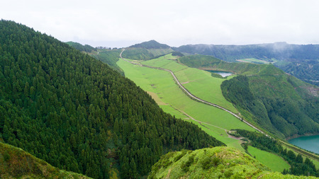 The astonishing greens of the archipelago of Azores - Portugalの写真素材