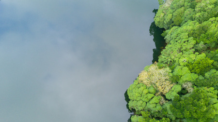 The astonishing greens of the archipelago of Azores - Portugalの写真素材
