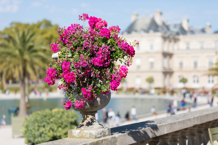The beautiful palace of Luxembourg in Paris, Franceの写真素材