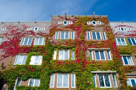 Autumn houseのeditorial素材