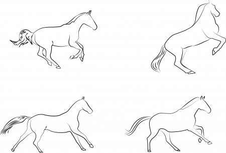 horses line drawingの写真素材