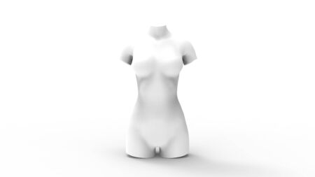 3D rendering of a computer model female torso isolated in white studio backgroundの写真素材