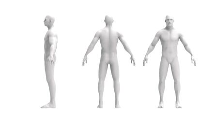 Human body 3d rendering of multiple views of a human body isolated in white backgroundの写真素材
