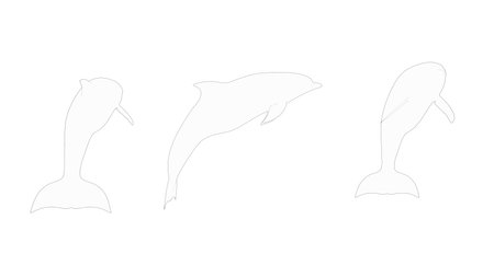 Dolphines 3d rendering and computer model isolated in white studio backgroundの写真素材
