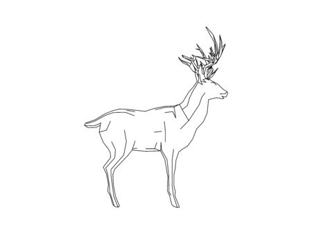 Vector illustration of the side of a deer in a polygon style isolated on a white backgroundのイラスト素材