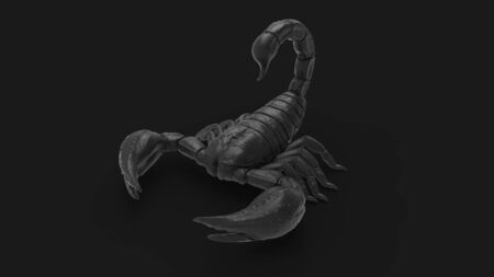 3d rendering of a scorpion isolated in a studio colored background.の写真素材