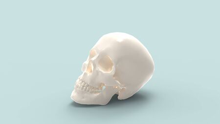 3d rendering of a human skull isolated in a colored backgroundの写真素材
