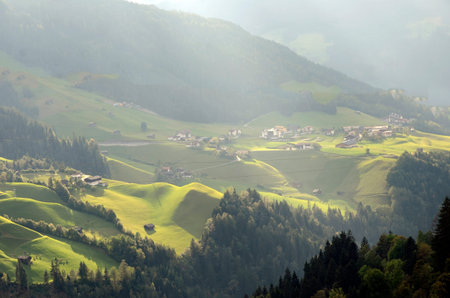 Austria europe mountain landscape and natural scene grass lands and trees.