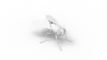 3d rendering of a fly isolated on a white background.の写真素材