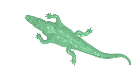3D rendering of an alligator isolated on white backgroundの写真素材