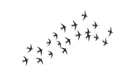 3D rendering swallows group flying spread sky freedom animals isolatedの写真素材