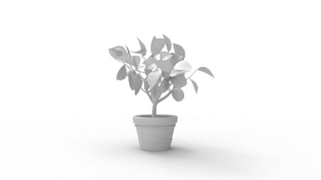 3D rendering of a house plant model computer generated isolatedの写真素材