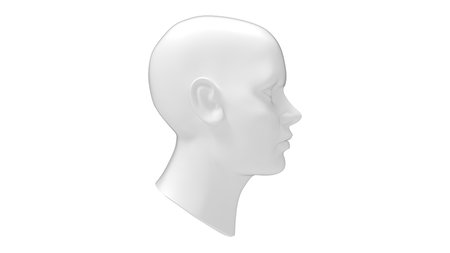 Female head mannequin 3D rendering isolated on a white background.の写真素材