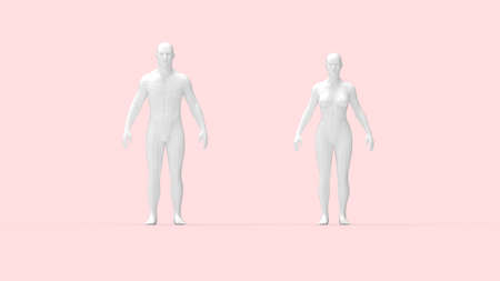 3D rendering of a man and a woman standing anatomical overview.の写真素材