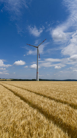 wind turbine above Wheat field, Renewable energy, farming, agriculture, nature and man.