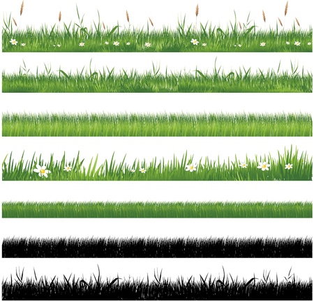 Green grass collectionのイラスト素材