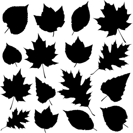 leaf silhouettesのイラスト素材