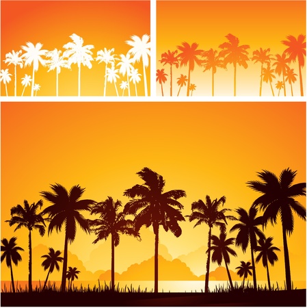 Tropical sunset backgroundのイラスト素材