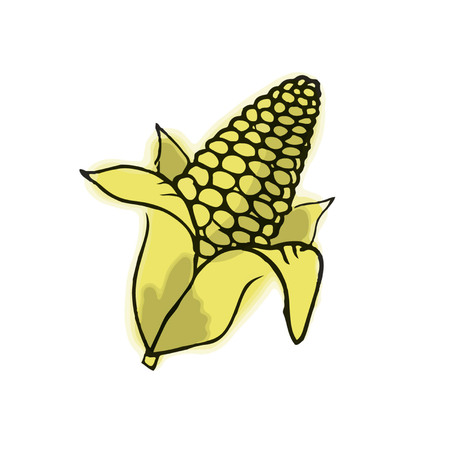 Cornのイラスト素材