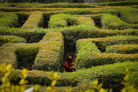 Redhead girl lost in a garden maze.