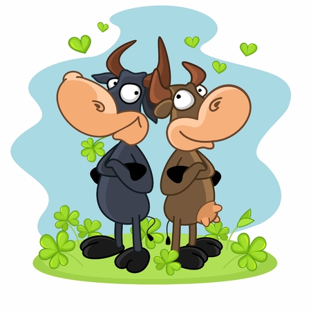 Cow and bull standing and looking at each other on the gladeのイラスト素材